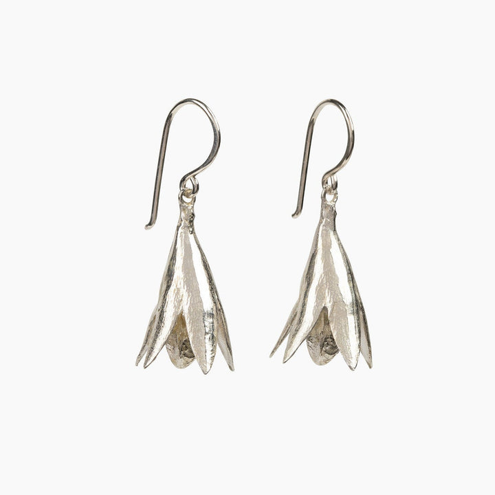 cedrela seed pod earrings
