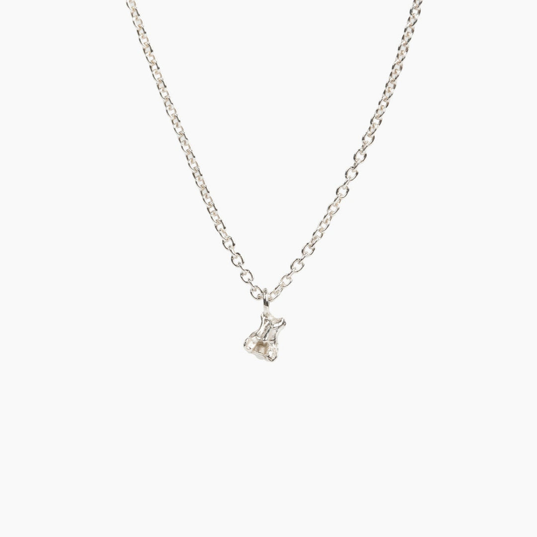 tiny vertebra necklace