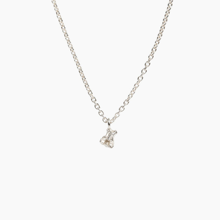tiny vertebra necklace
