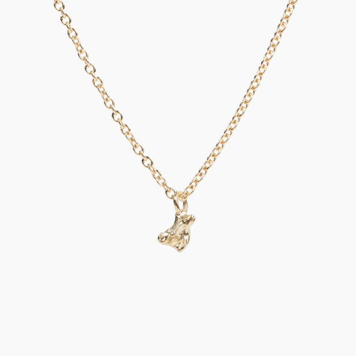 tiny vertebra necklace