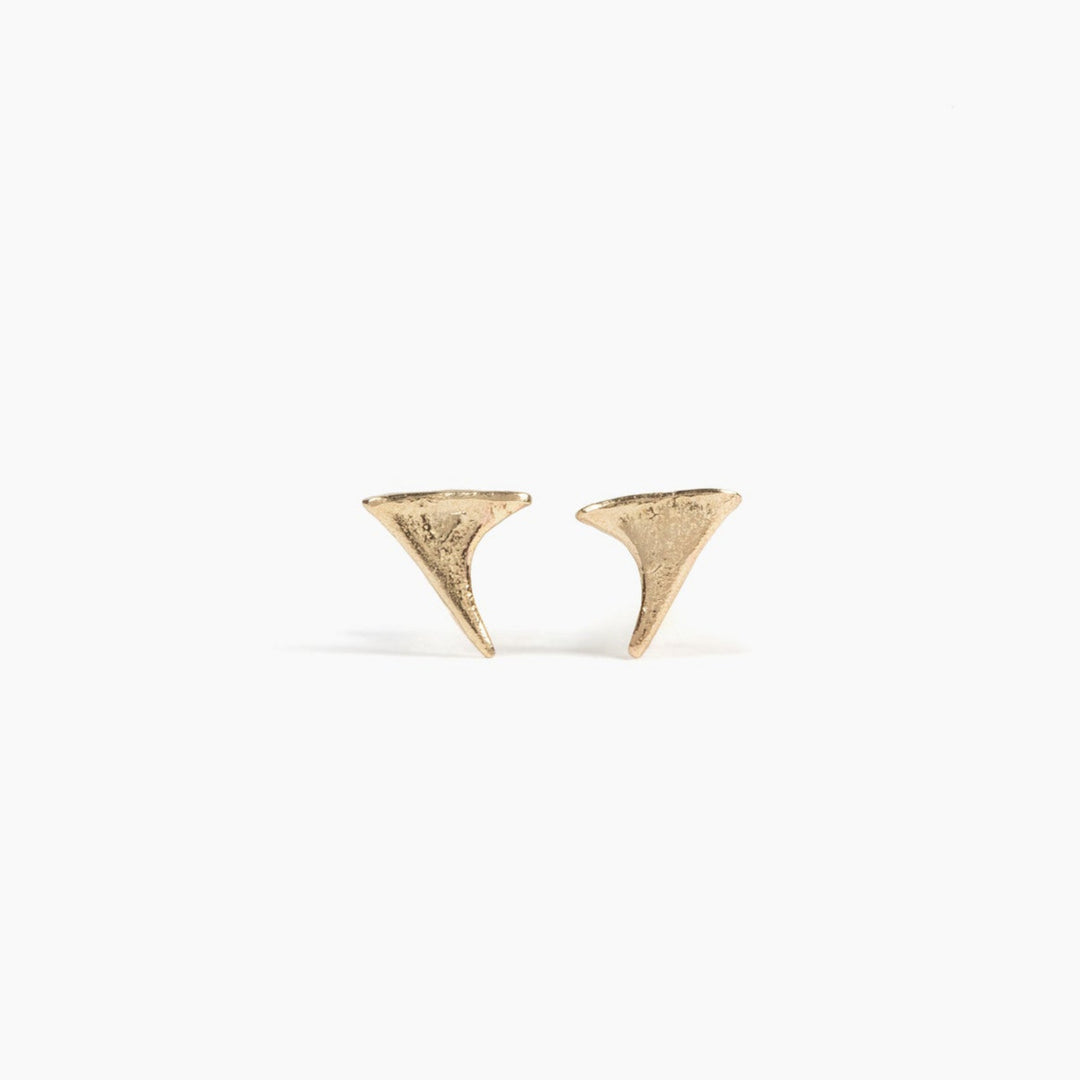 Thicket gold blackberry thorn studs on white background