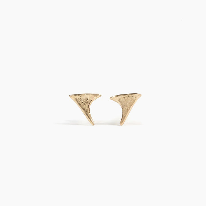 Thicket gold blackberry thorn studs on white background
