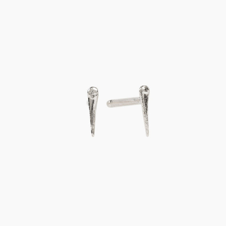 Thicket silver wild rose thorn studs on a white background