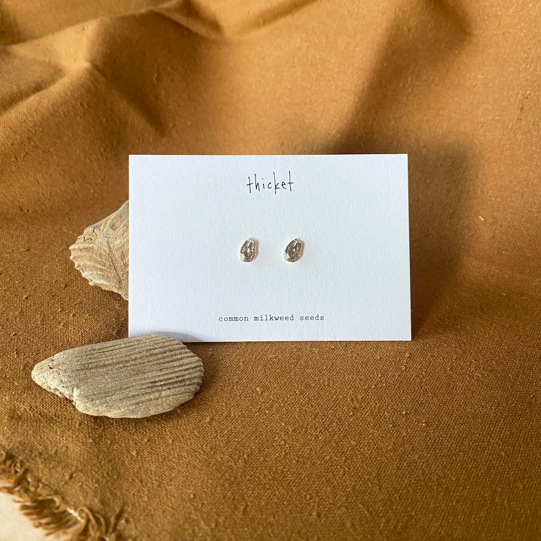 common milkweed seed studs