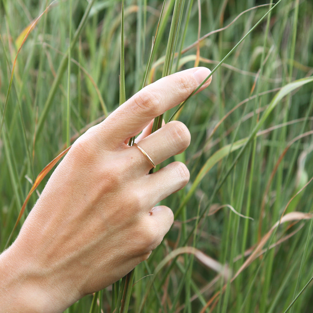 porcupine quill ring