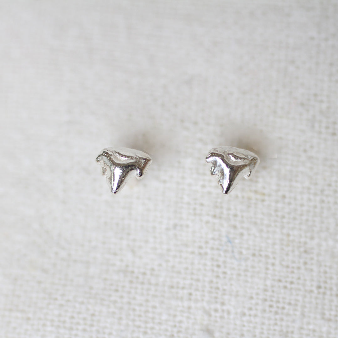 kitten teeth studs