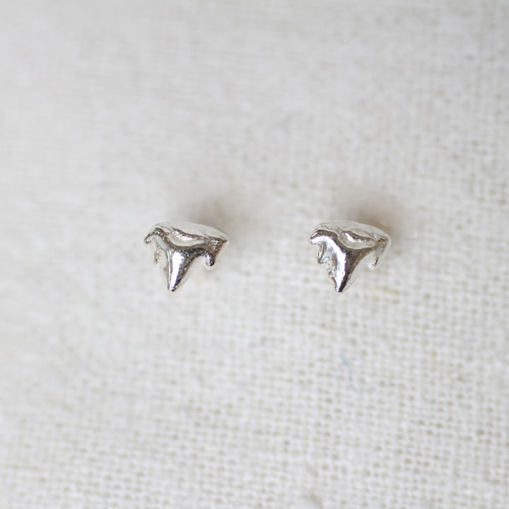kitten teeth studs