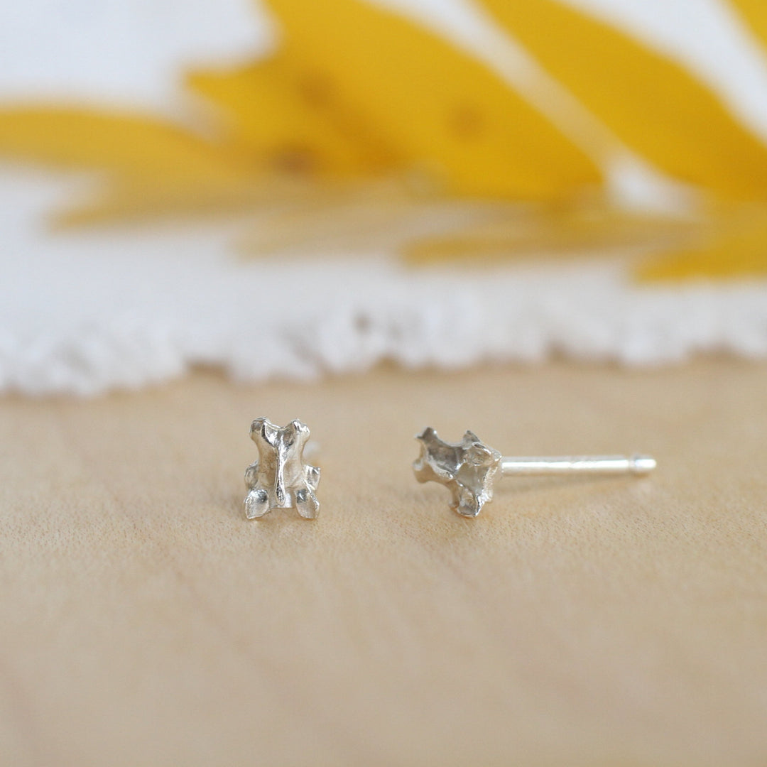 tiny vertebra studs