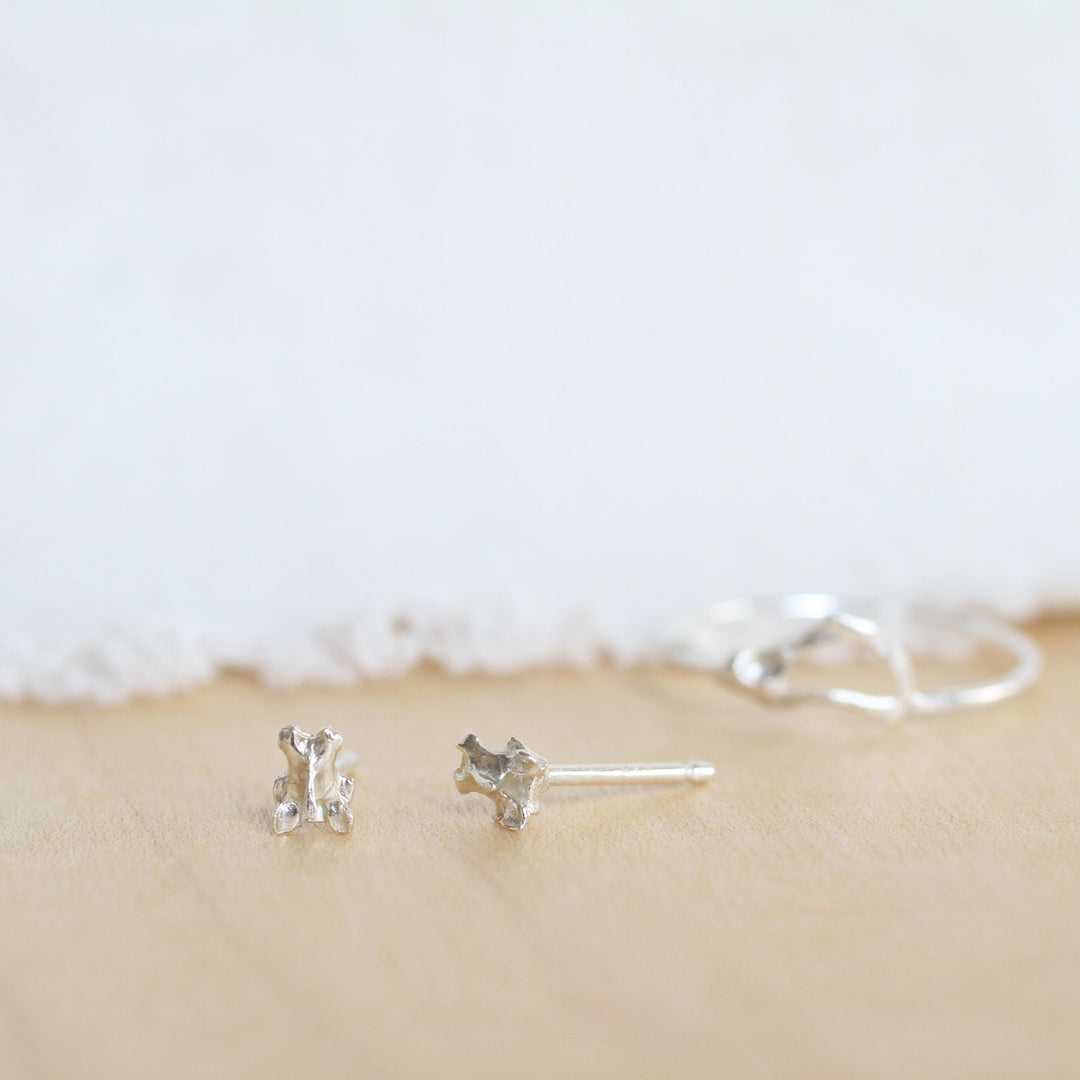 tiny vertebra studs