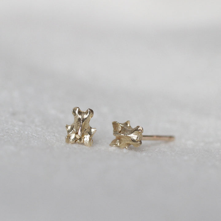 tiny vertebra studs