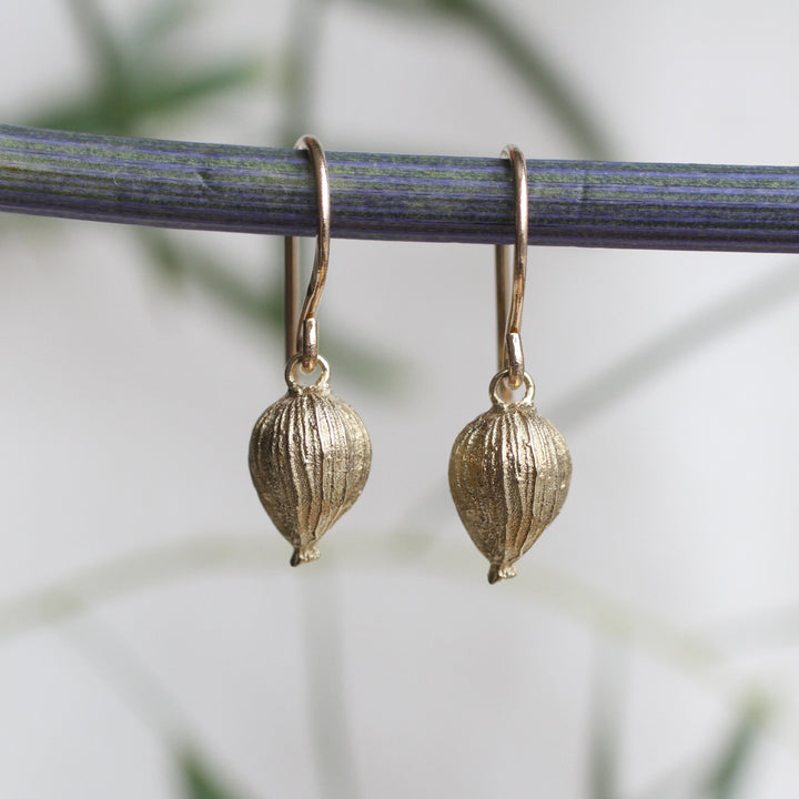 cardamom pod earrings