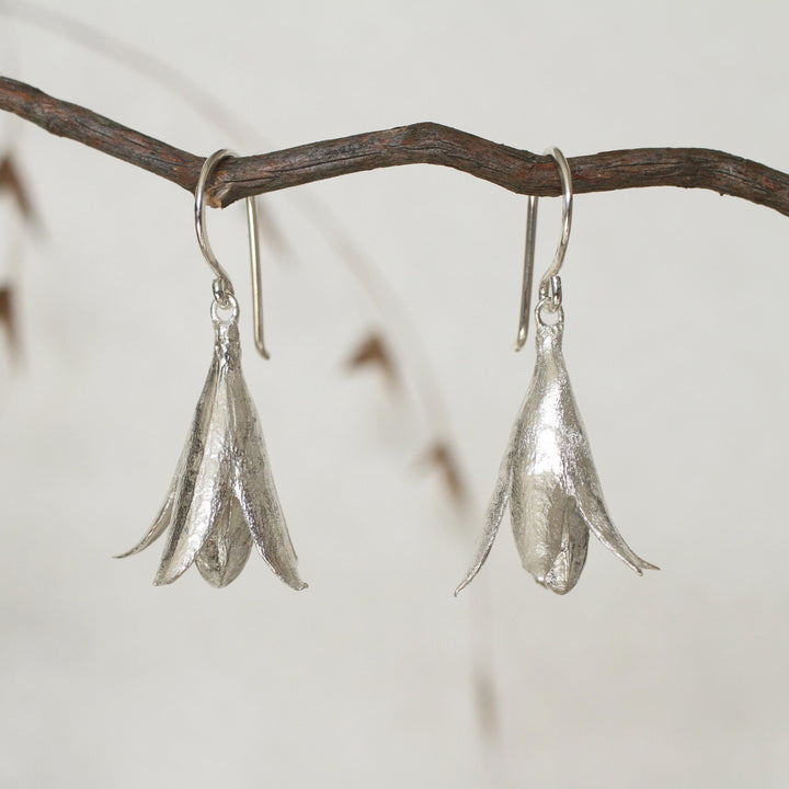 cedrela seed pod earrings