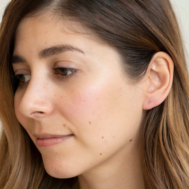 wild rose thorn studs