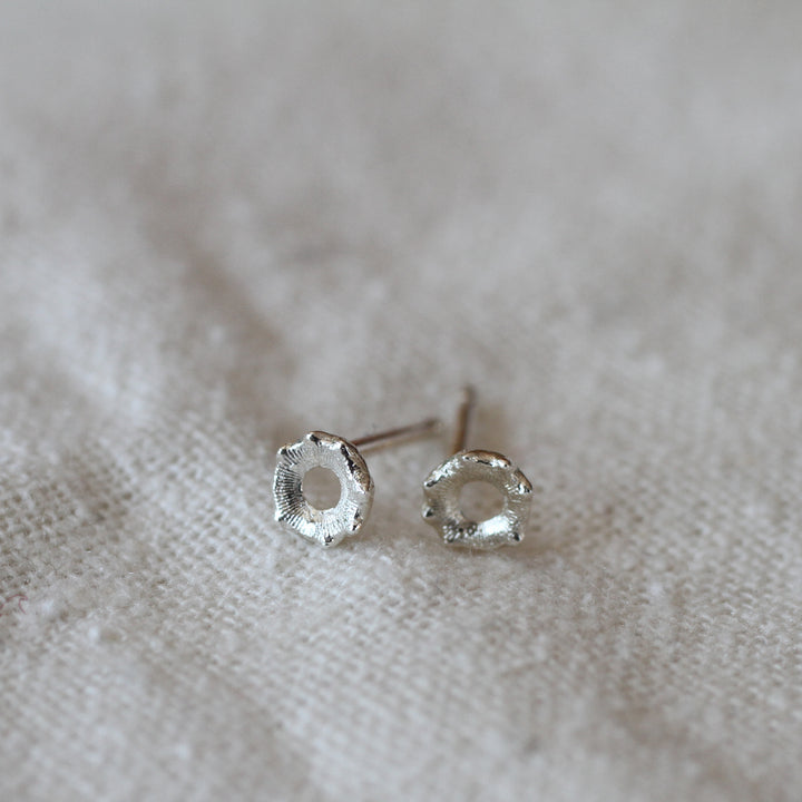 crinoid fossil studs