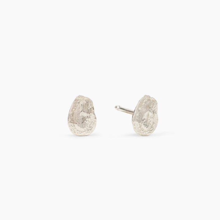 common milkweed seed studs
