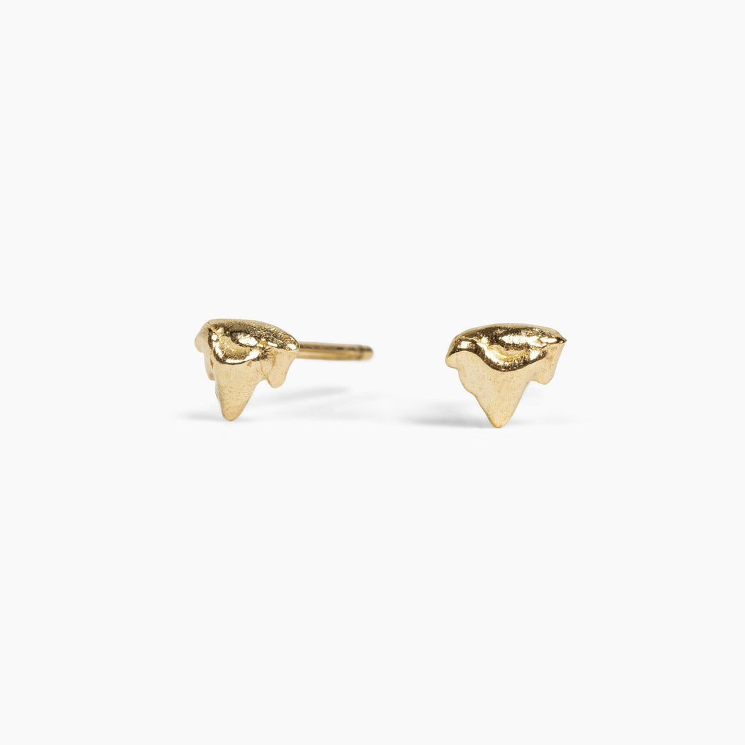kitten teeth studs