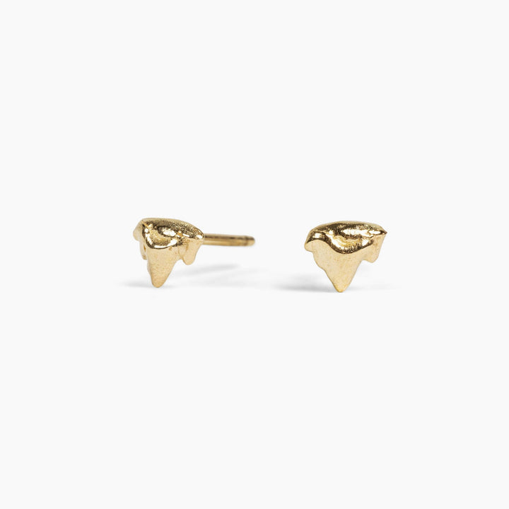 kitten teeth studs