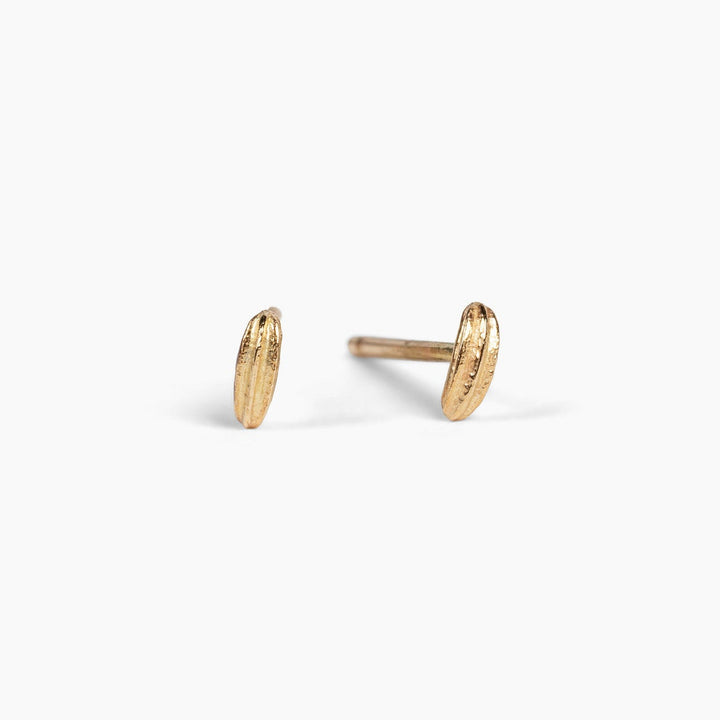 golden alexander seed studs