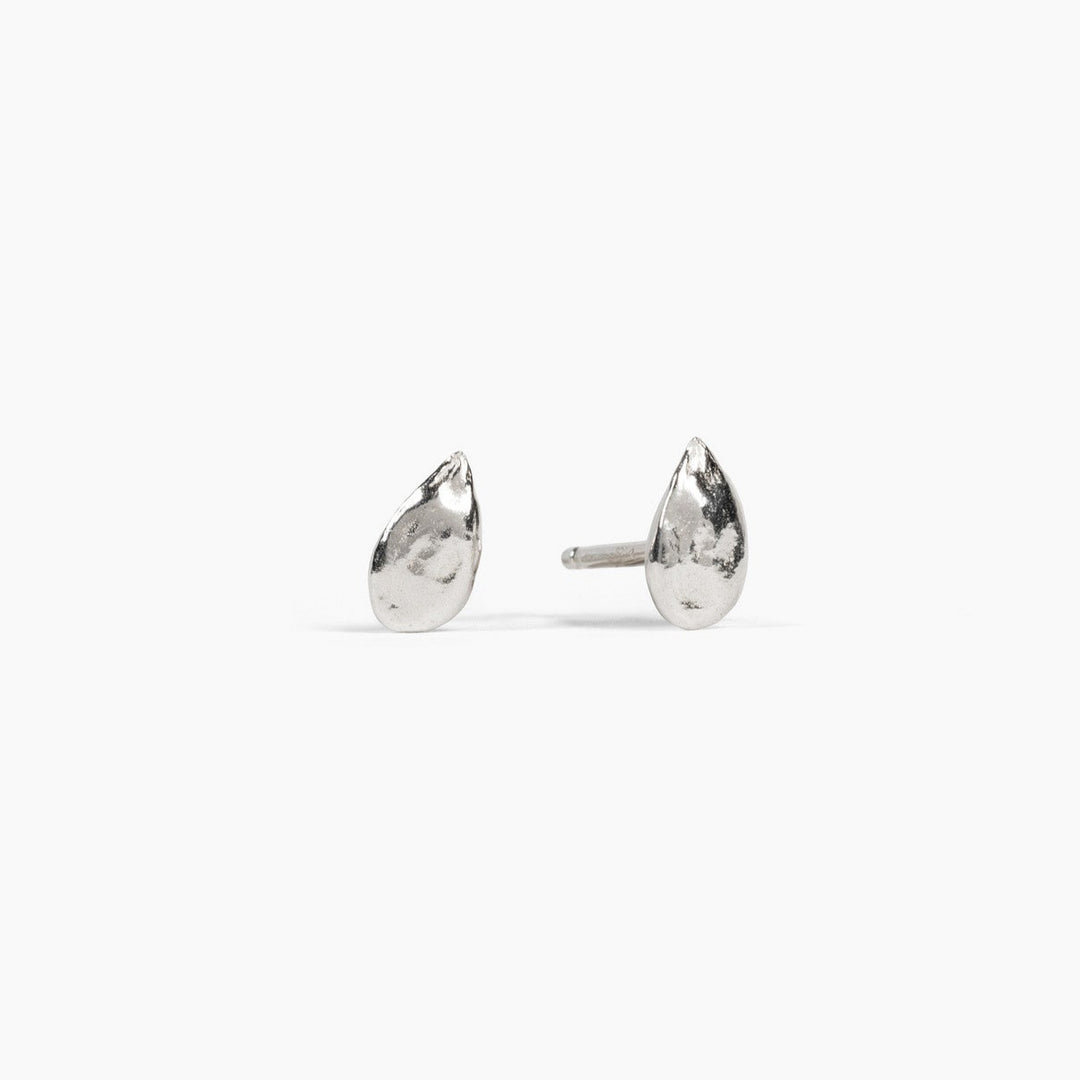 Thicket sterling silver apple seed earrings against a white background