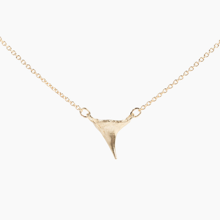 wild rose thorn necklace