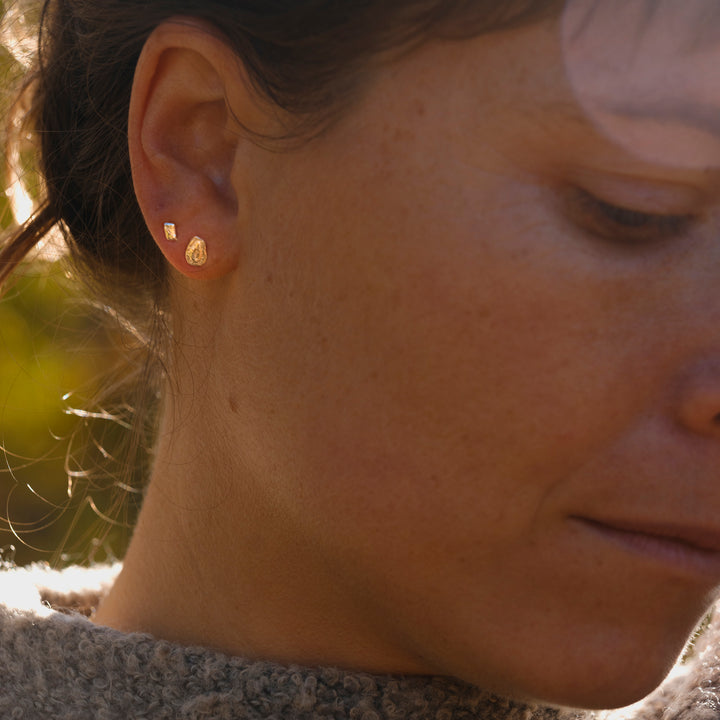 common milkweed seed studs