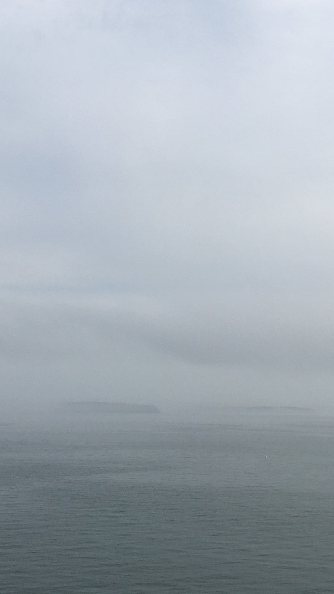 misty ocean landscape