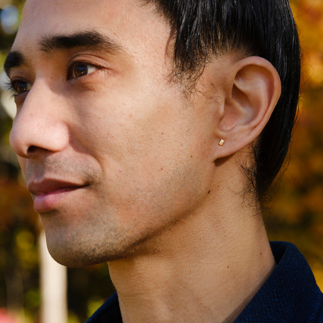 partridge pea seed studs