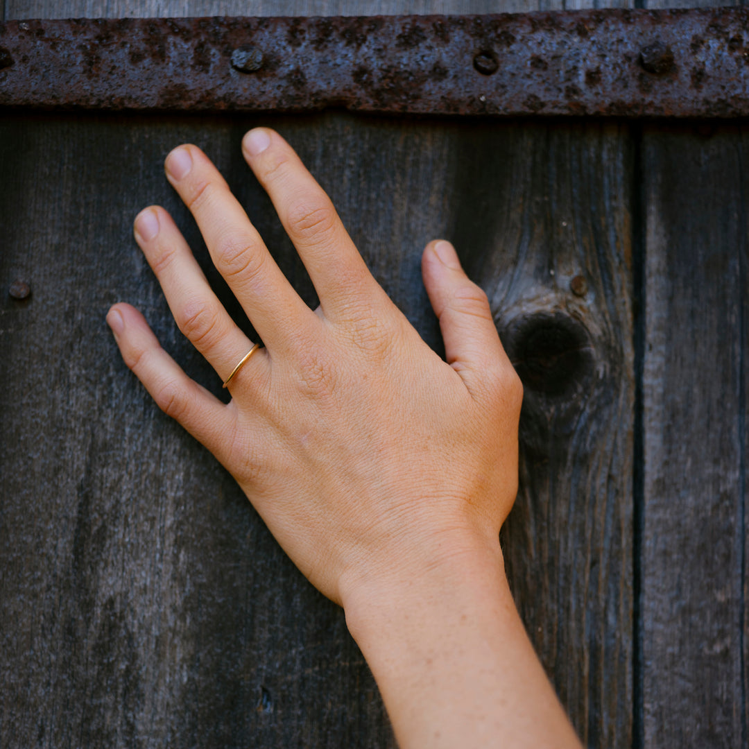 porcupine quill ring
