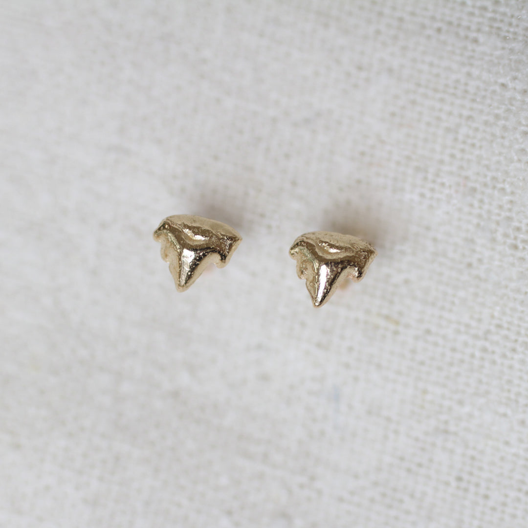 kitten teeth studs