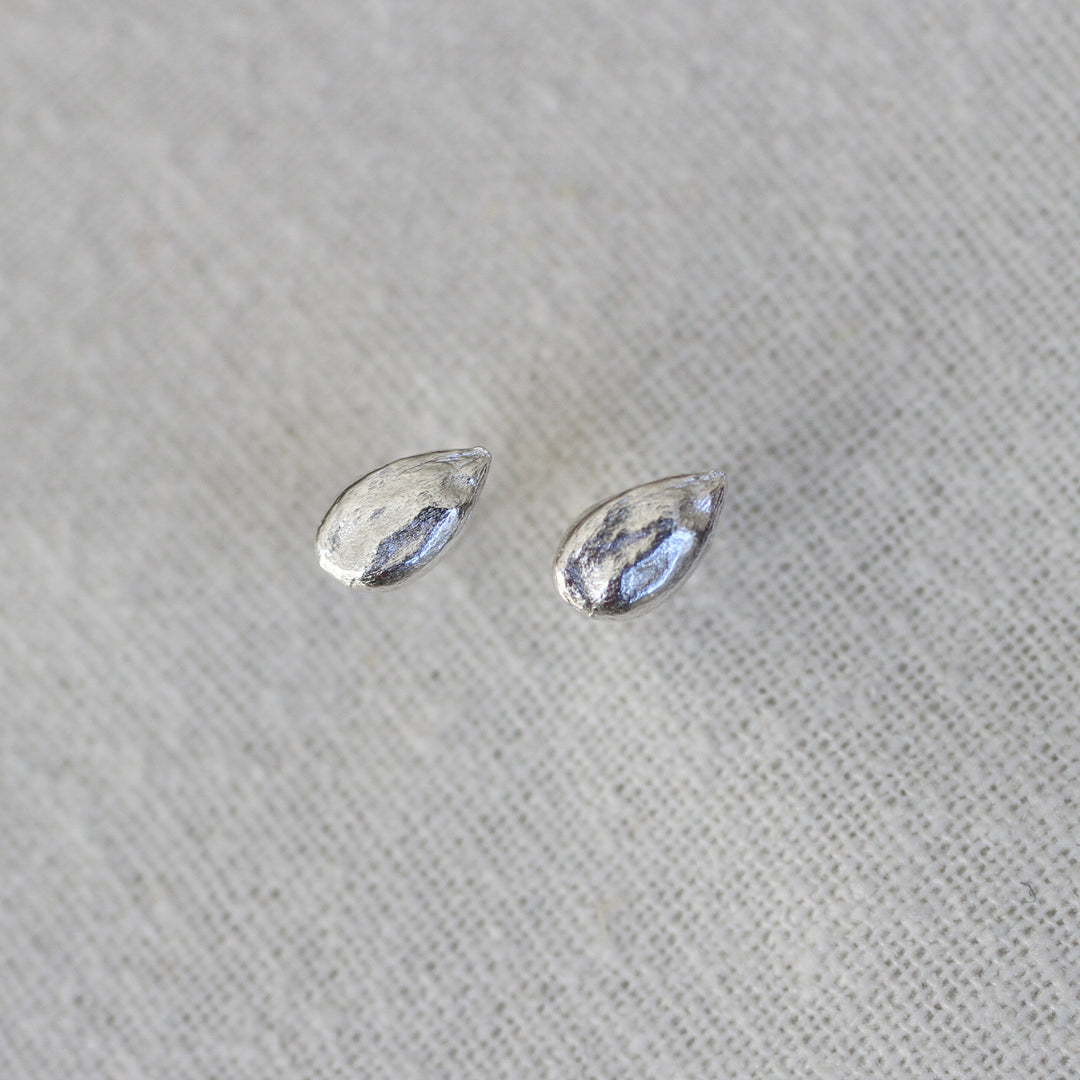 apple seed studs