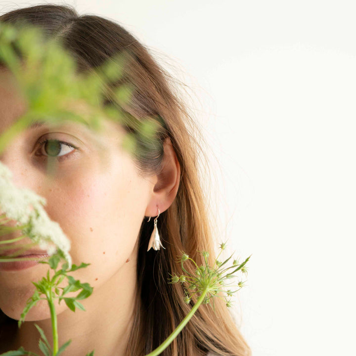 cedrela seed pod earrings