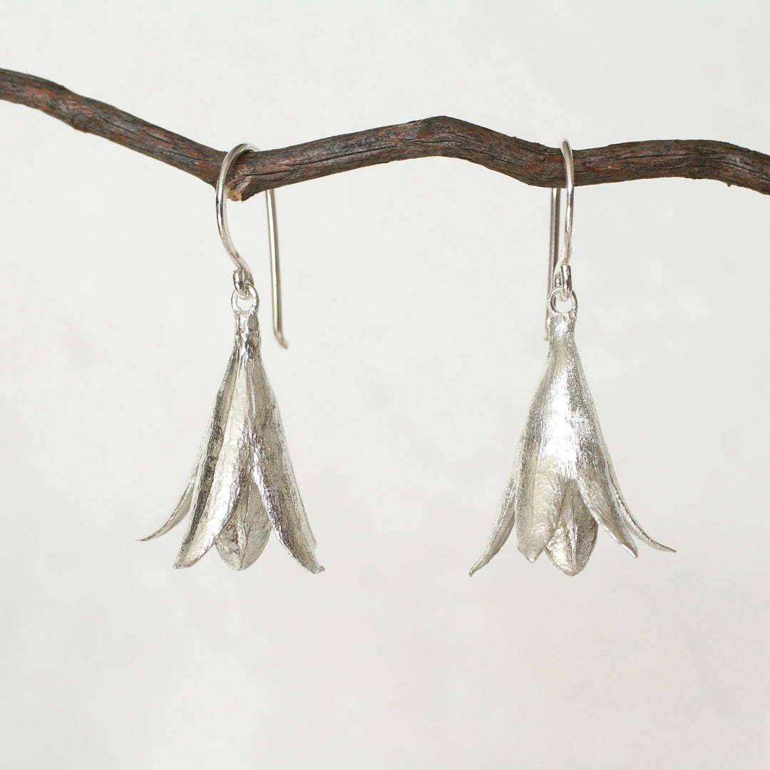 cedrela seed pod earrings