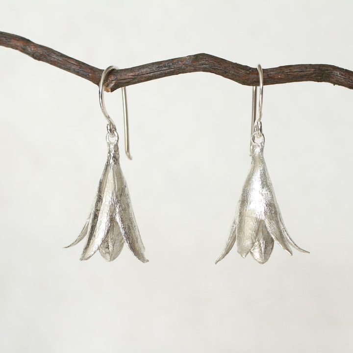 cedrela seed pod earrings