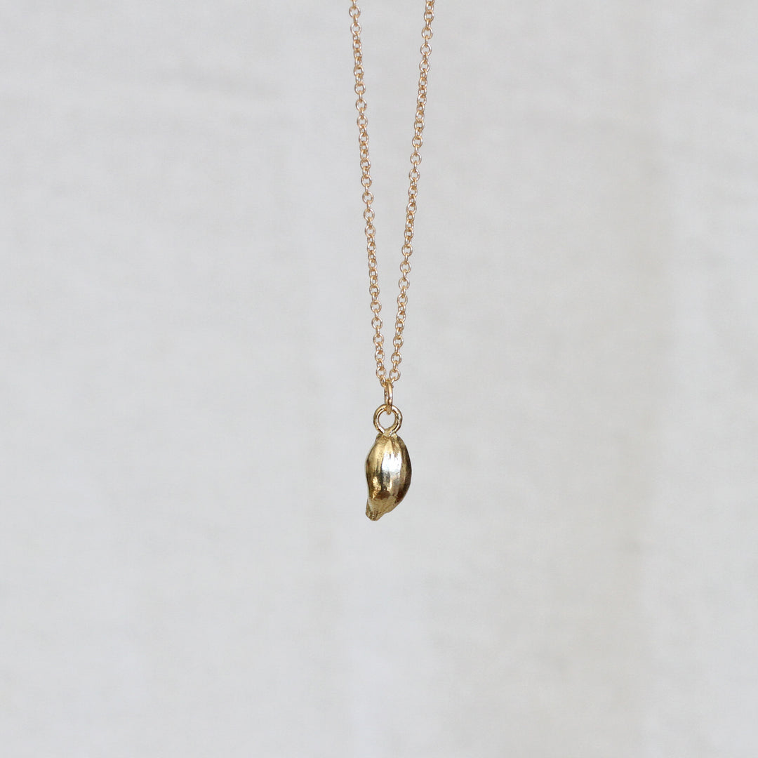 lemon seed necklace