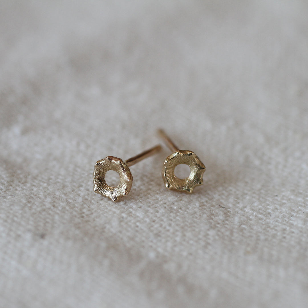 crinoid fossil studs